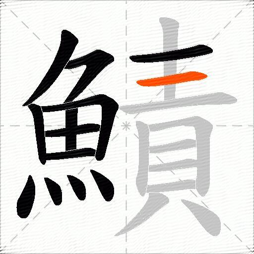 鰿