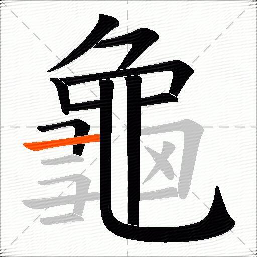 龜