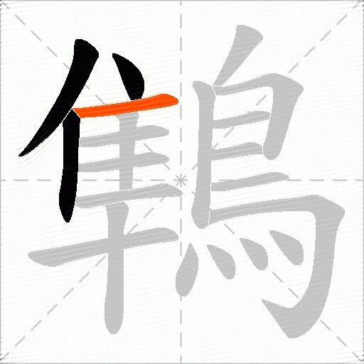 鶽