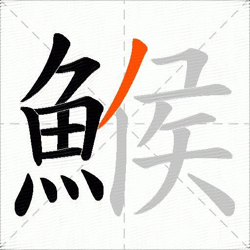 鯸