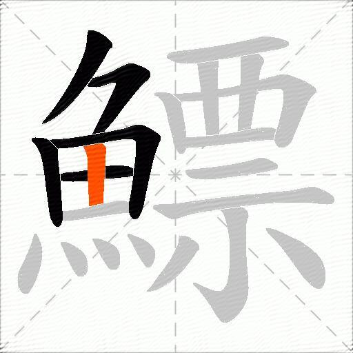 鰾