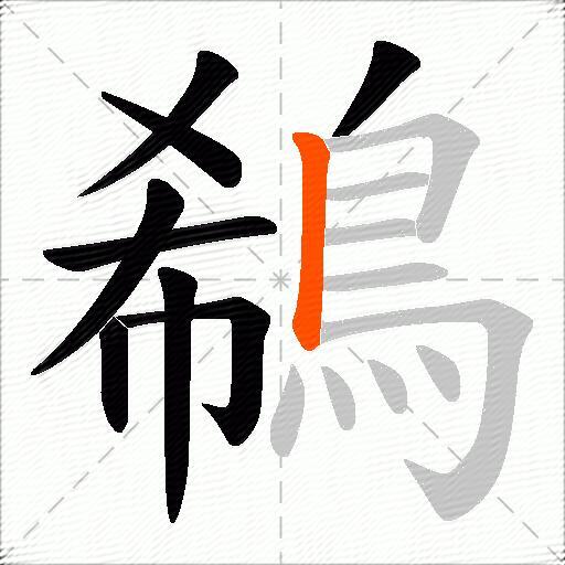 鵗