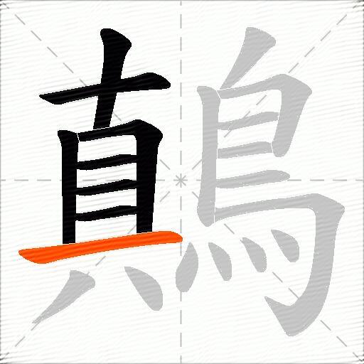 鷏