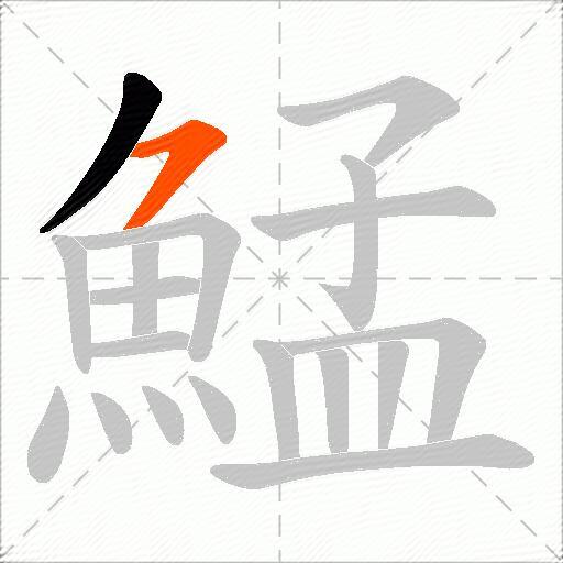 鯭