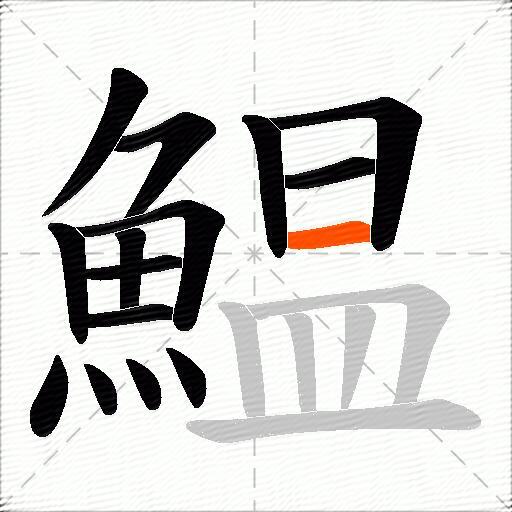 鰛