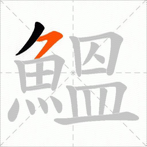 鰮