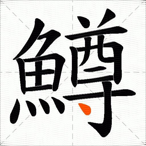 鱒