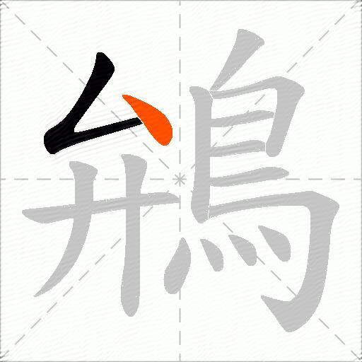 鴘