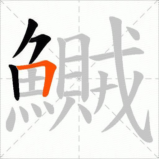 鱡