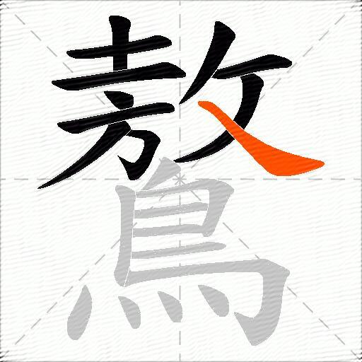 鷔