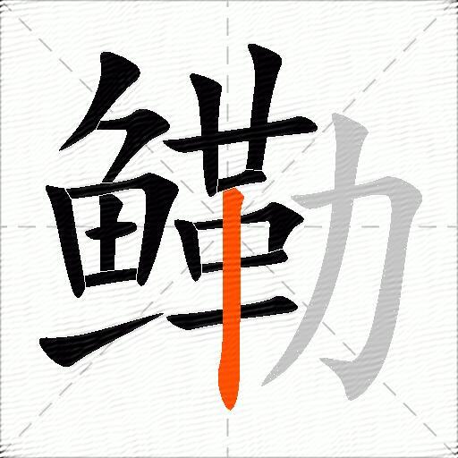 鳓