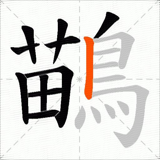 鶓