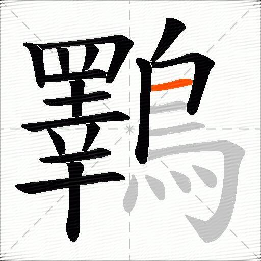 鸅
