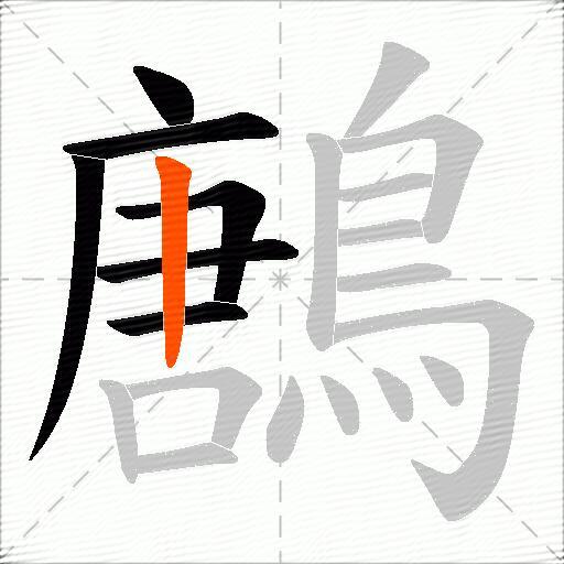 鶶