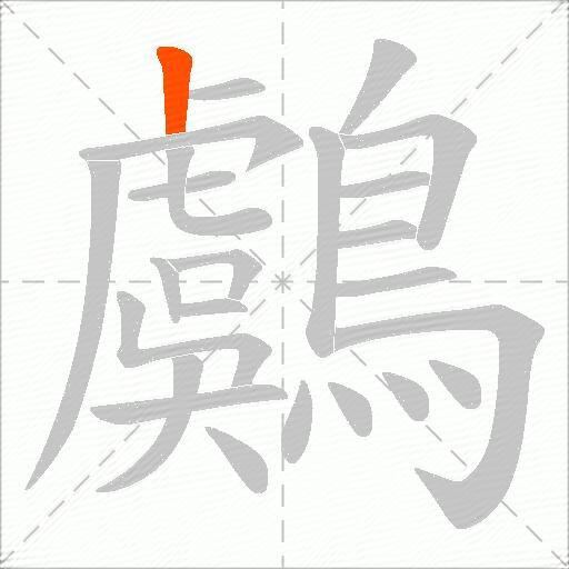 鸆