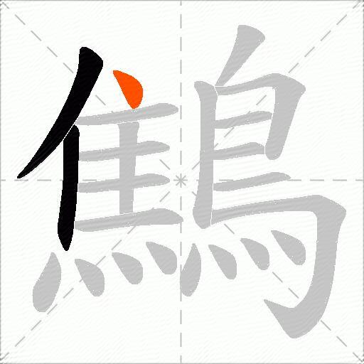 鷦