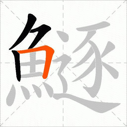 鱁