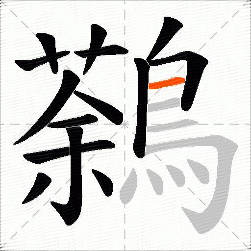 鷋
