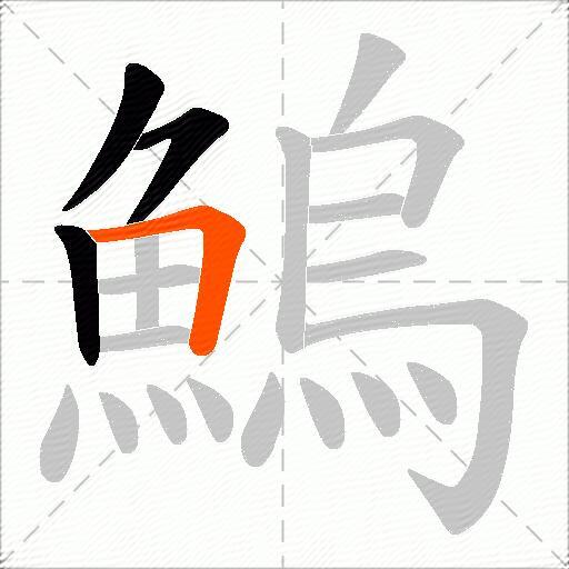 鰞