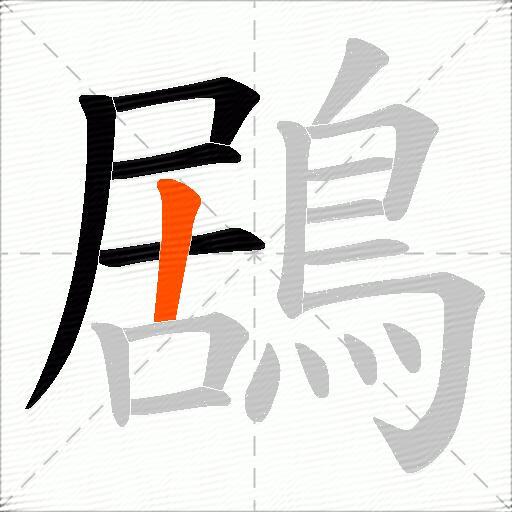 鶋
