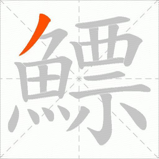 鰾