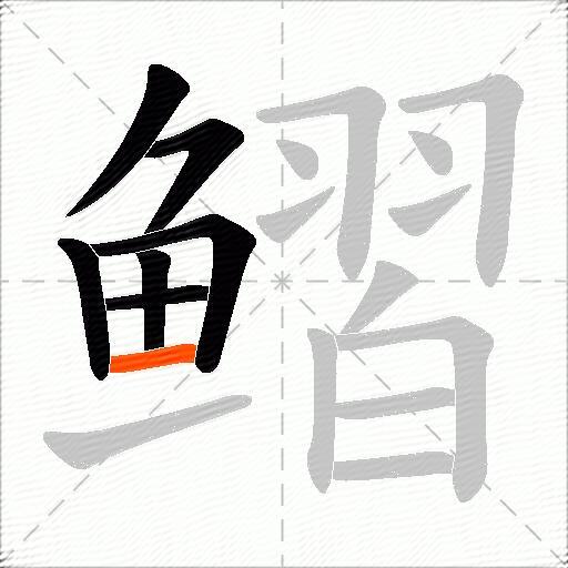 鳛
