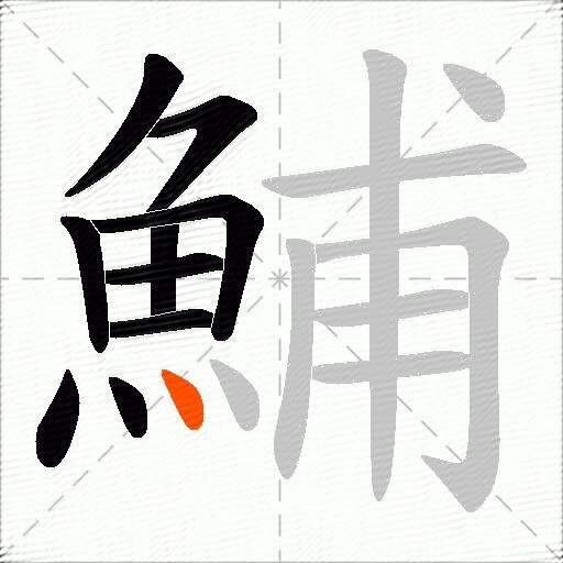 鯆