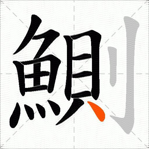 鰂