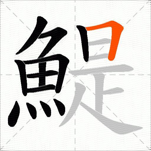 鯷