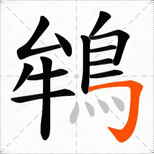 鴾