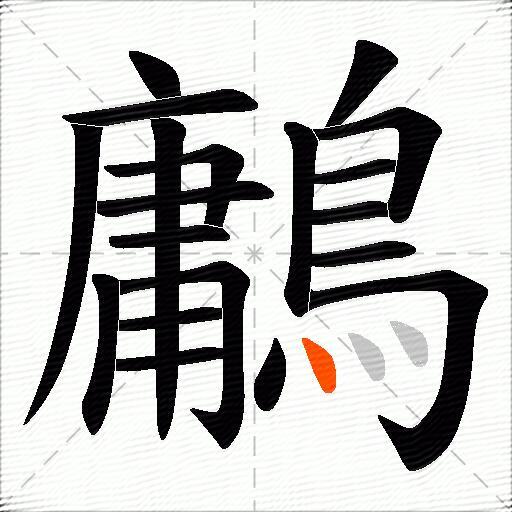 鷛