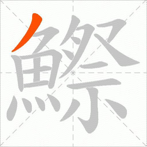 鰶