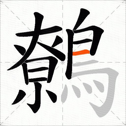 鷯
