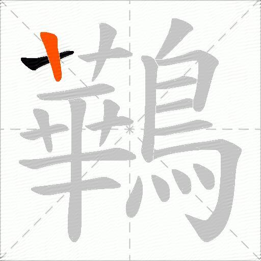 鷨