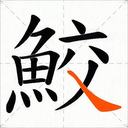 鮫