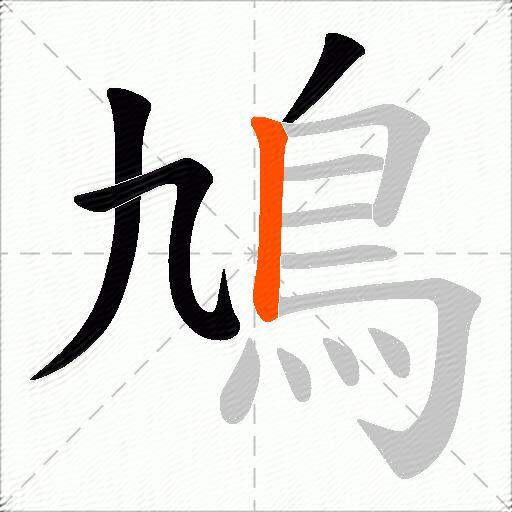 鳩