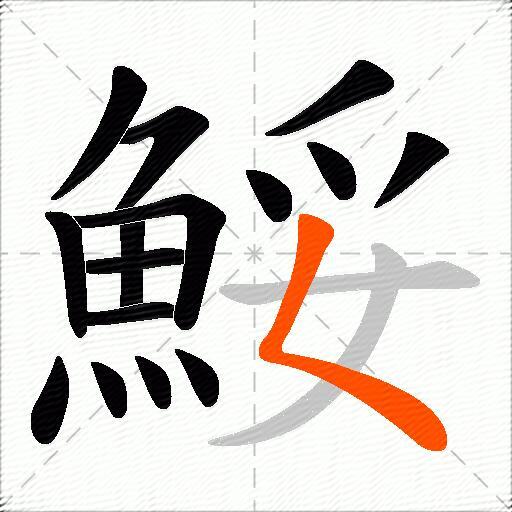 鮾