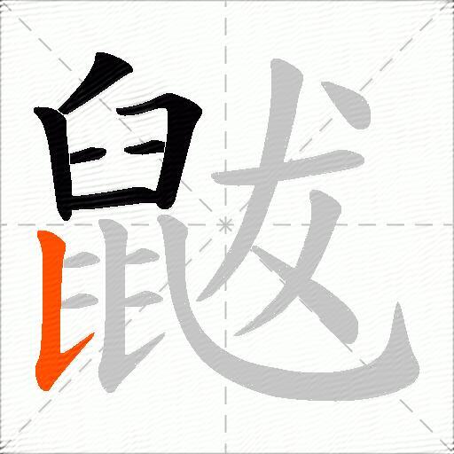 鼥