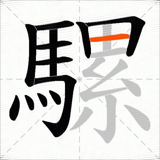 騾