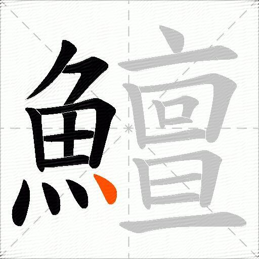 鱣