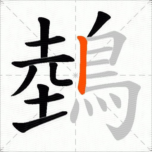 鵱