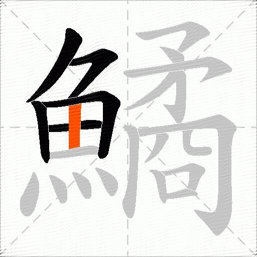 鱊