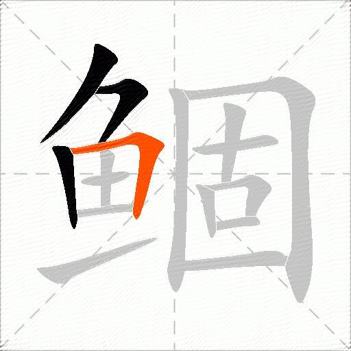鲴