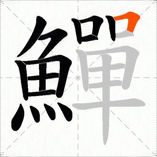 鱓