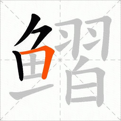 鳛