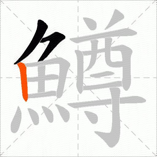 鱒