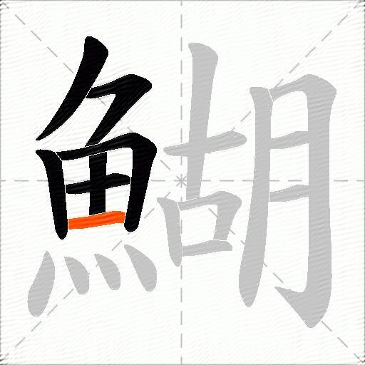 鰗