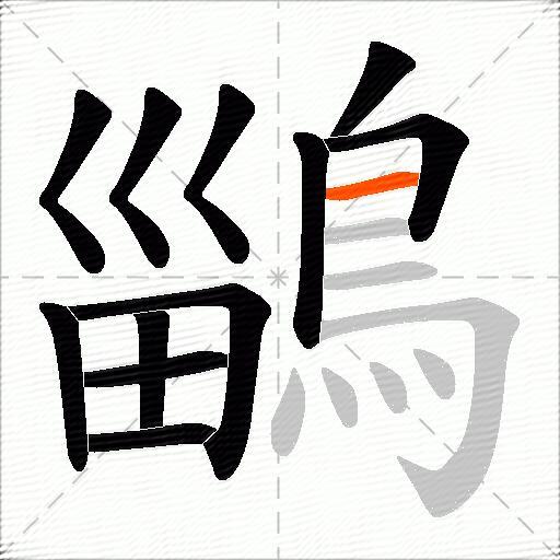 鶅