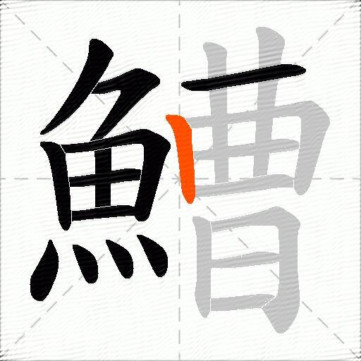 鰽