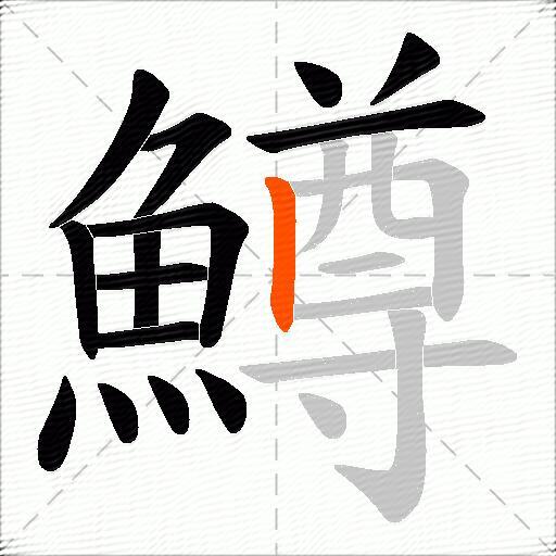 鱒